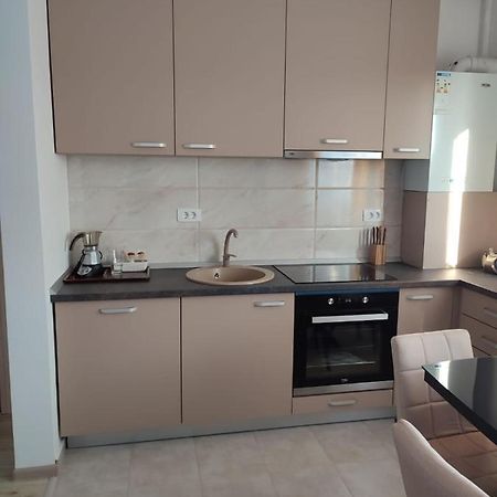 Marina'S House Apartment Ghimbav Bagian luar foto