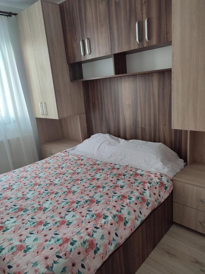 Marina'S House Apartment Ghimbav Bagian luar foto