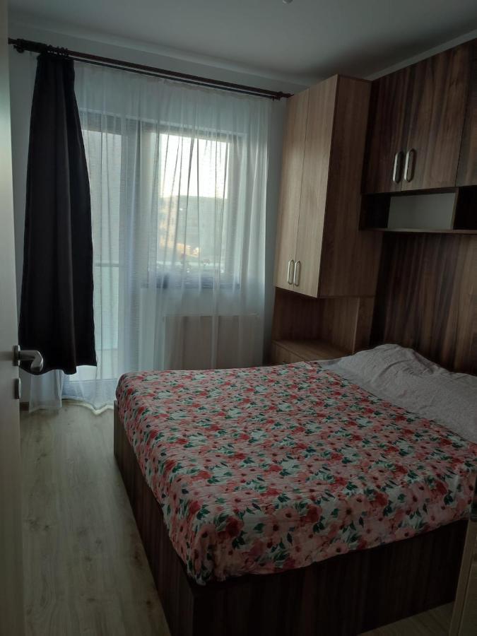 Marina'S House Apartment Ghimbav Bagian luar foto